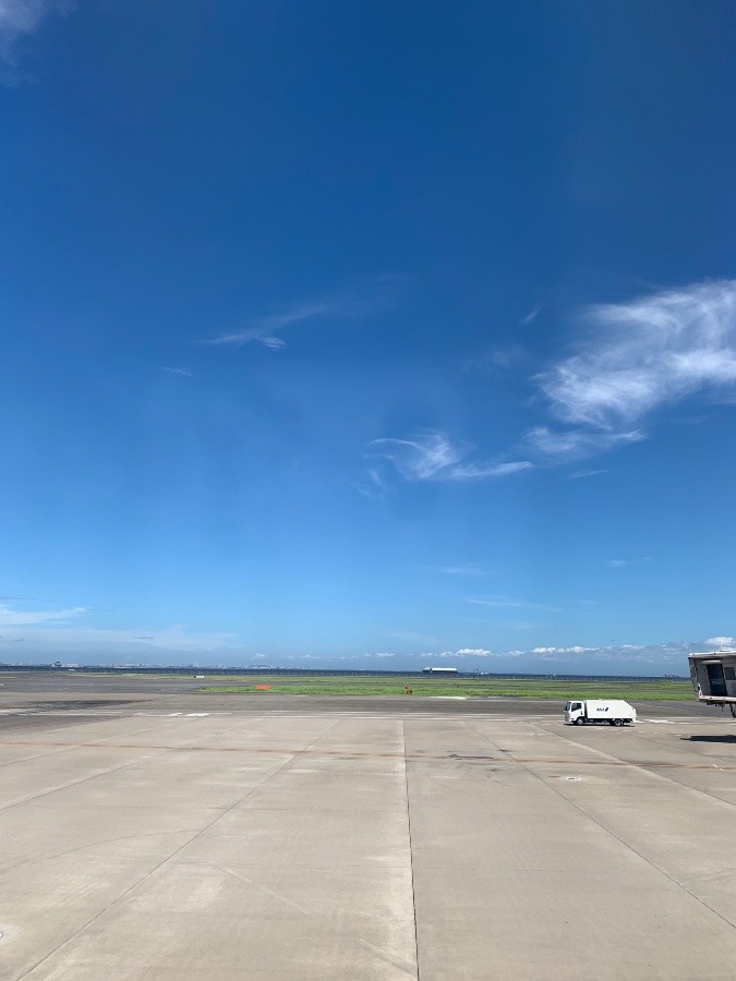 羽田空港の空