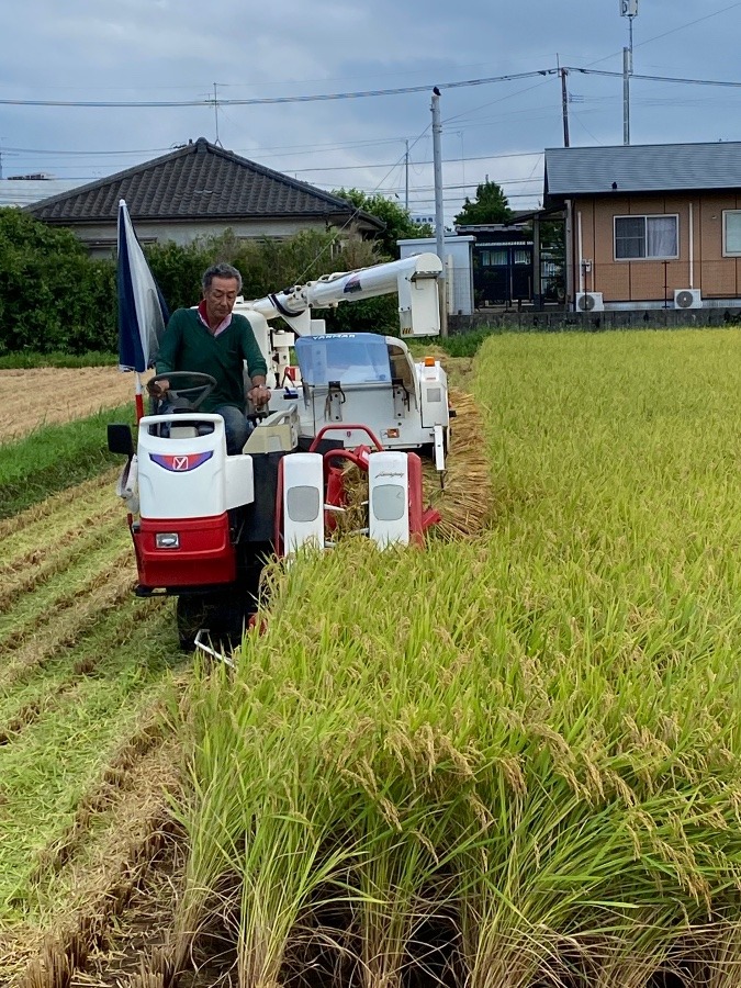 隣の田んぼ