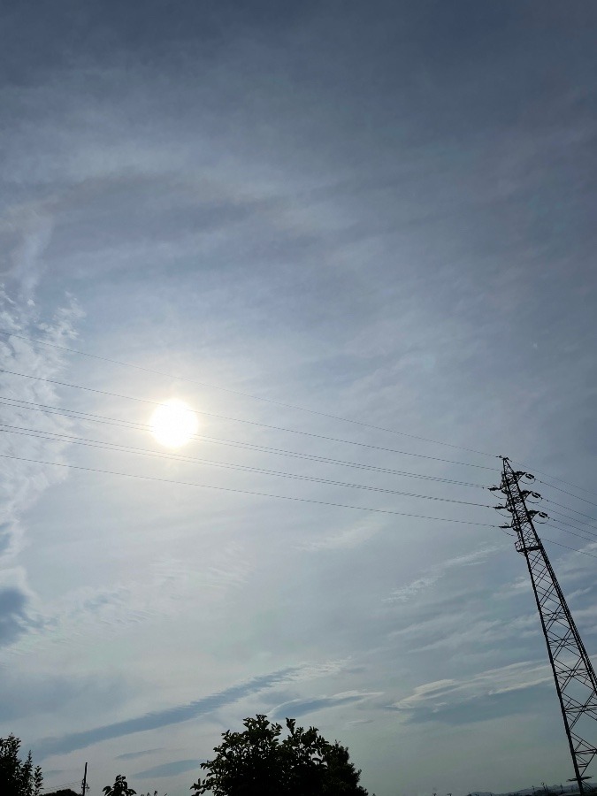 今日はいい天気です❣️