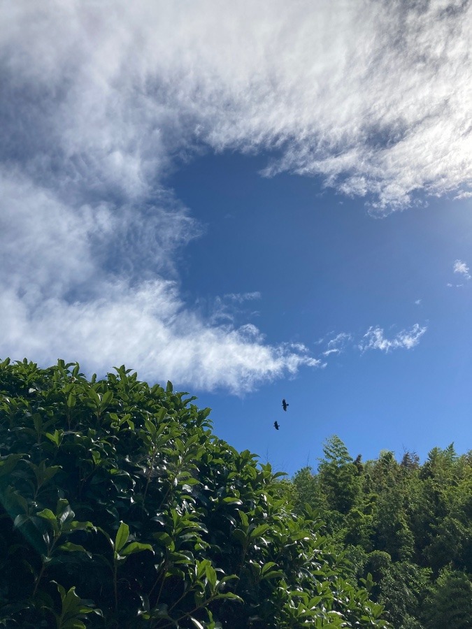 夏空