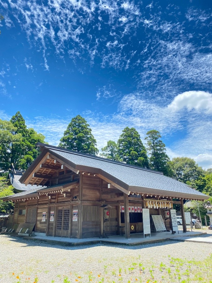 7/2 月まいり‼️その8