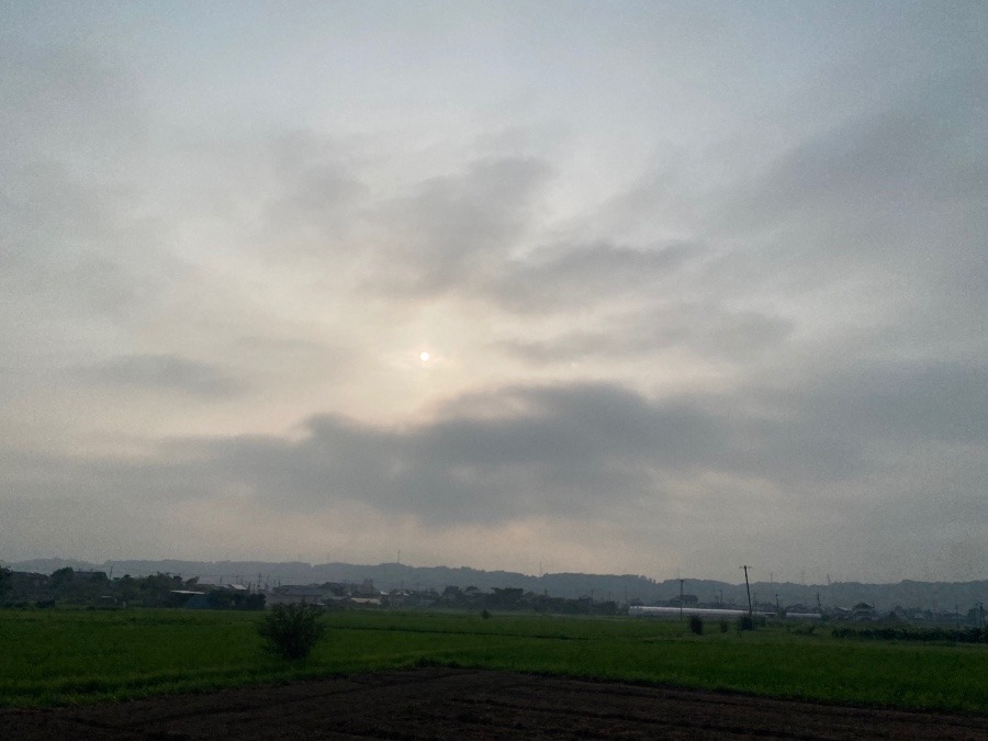 今朝の空  7／26