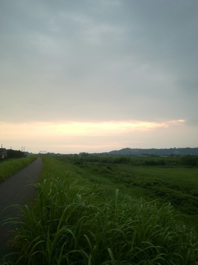 今朝の空