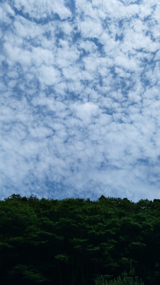 7/18　夏空