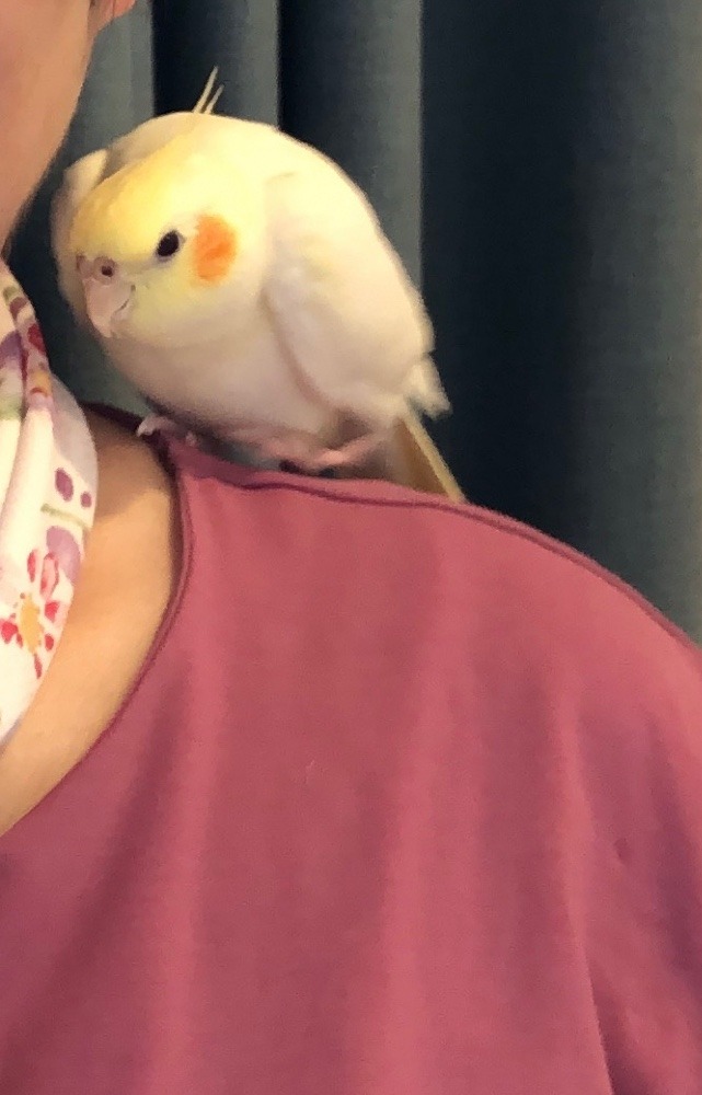 きゃっ🐥