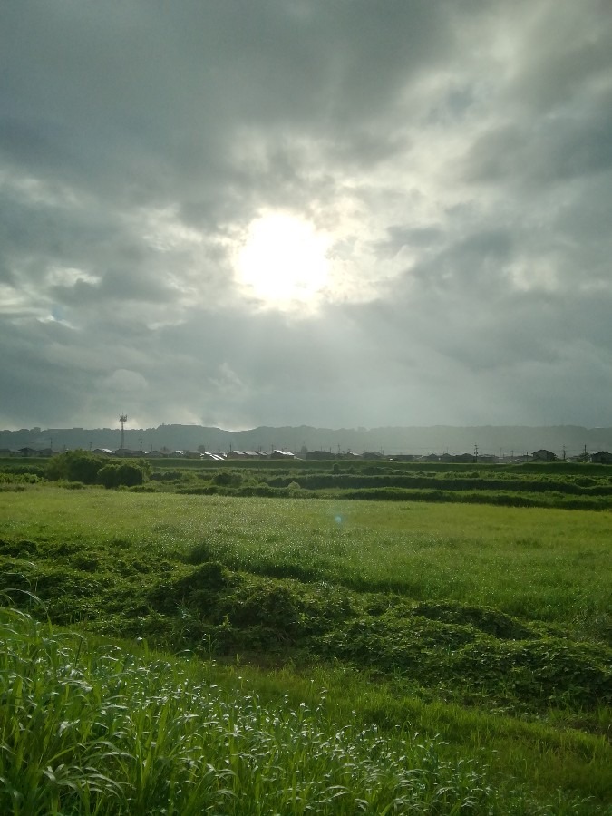 今朝の空