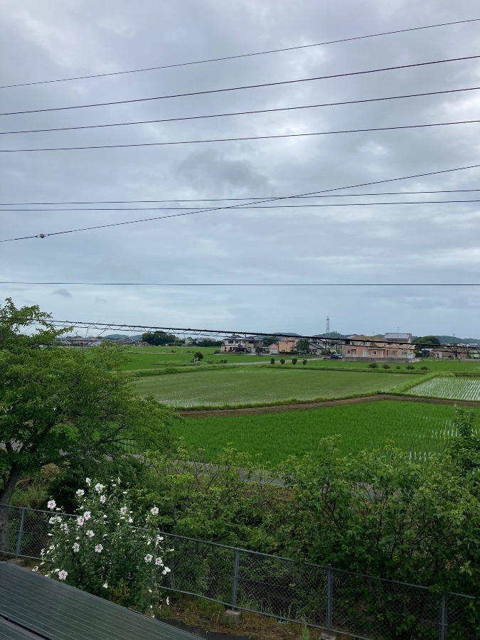 我が家の2階からの風景