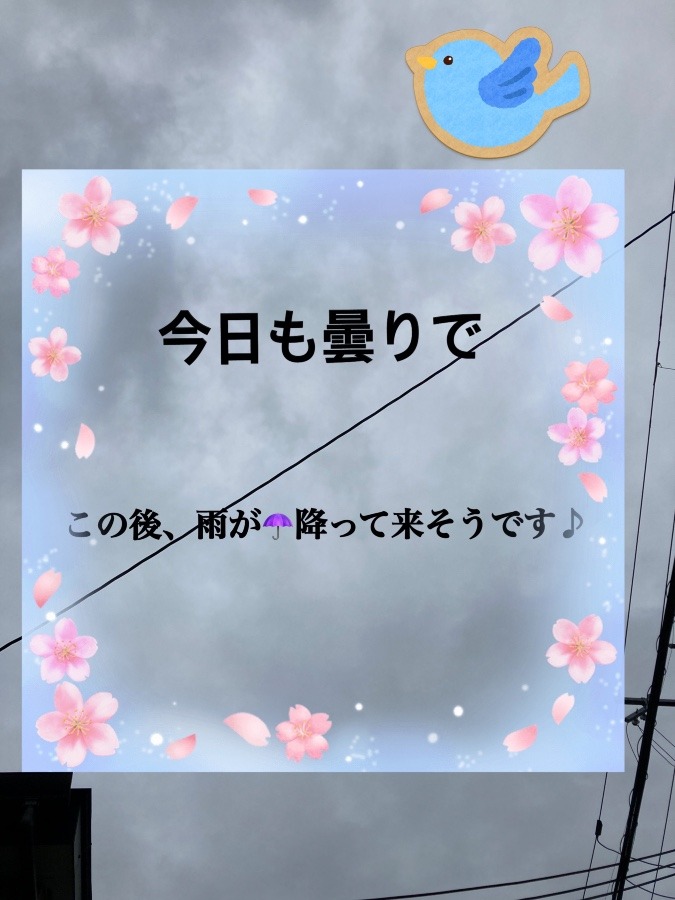 今朝の天気❣️