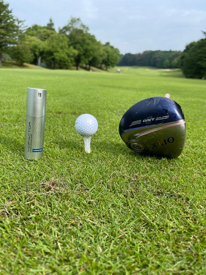 アイロニングとティーグランド⛳️