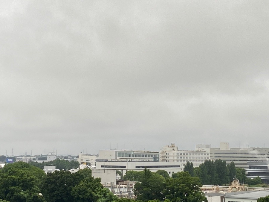 今朝の富士山