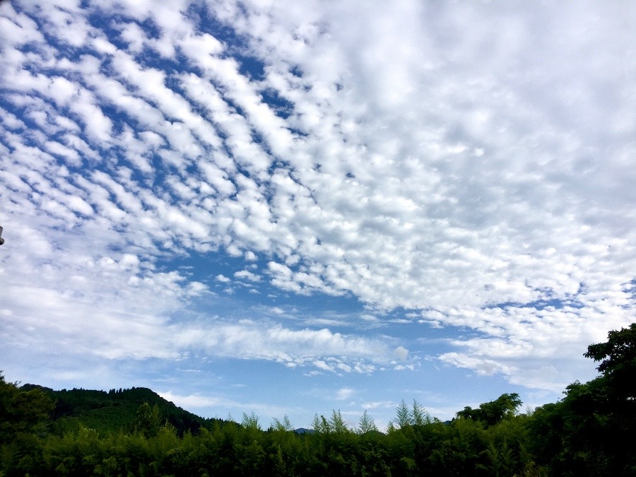 ⭕️空部→   いま空（≧∇≦）‼️86.