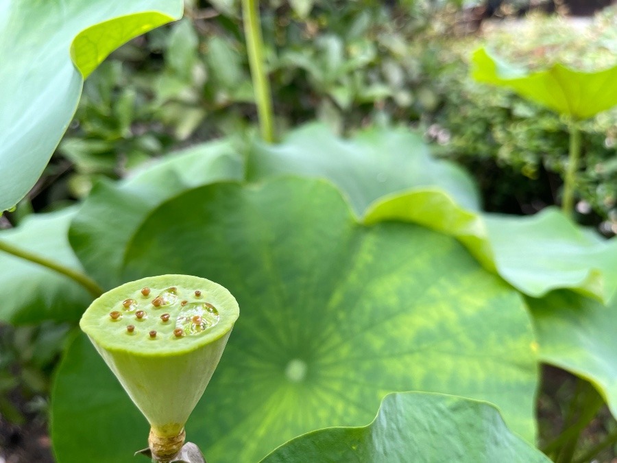 京都にて