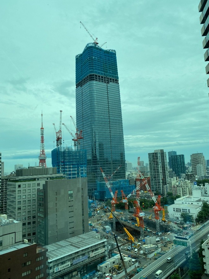 東京タワーとキリンさん❣️🏬