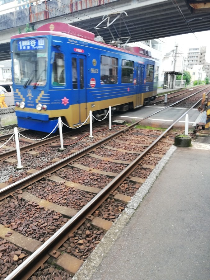 市電🚋