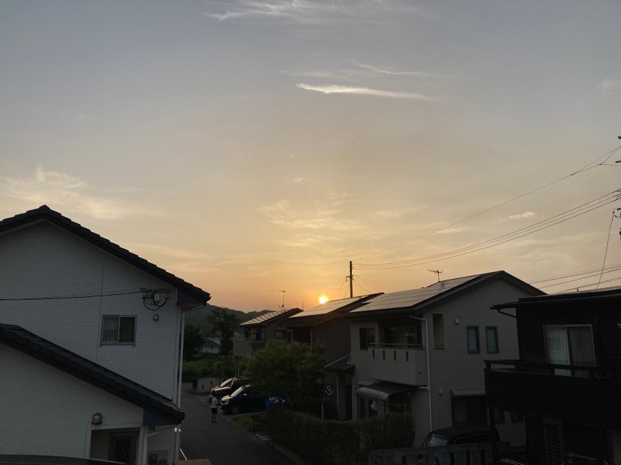 ✨今日の夕陽✨