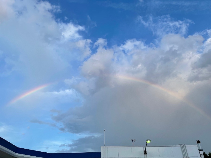 出ました！虹🌈✨✨( ´ ▽ ` )