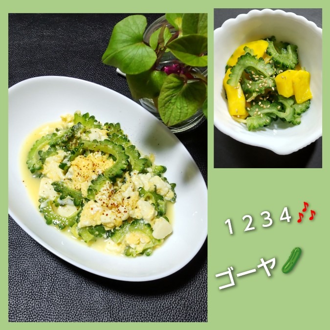 ちゃちゃっと🍳ゴーヤ🥒