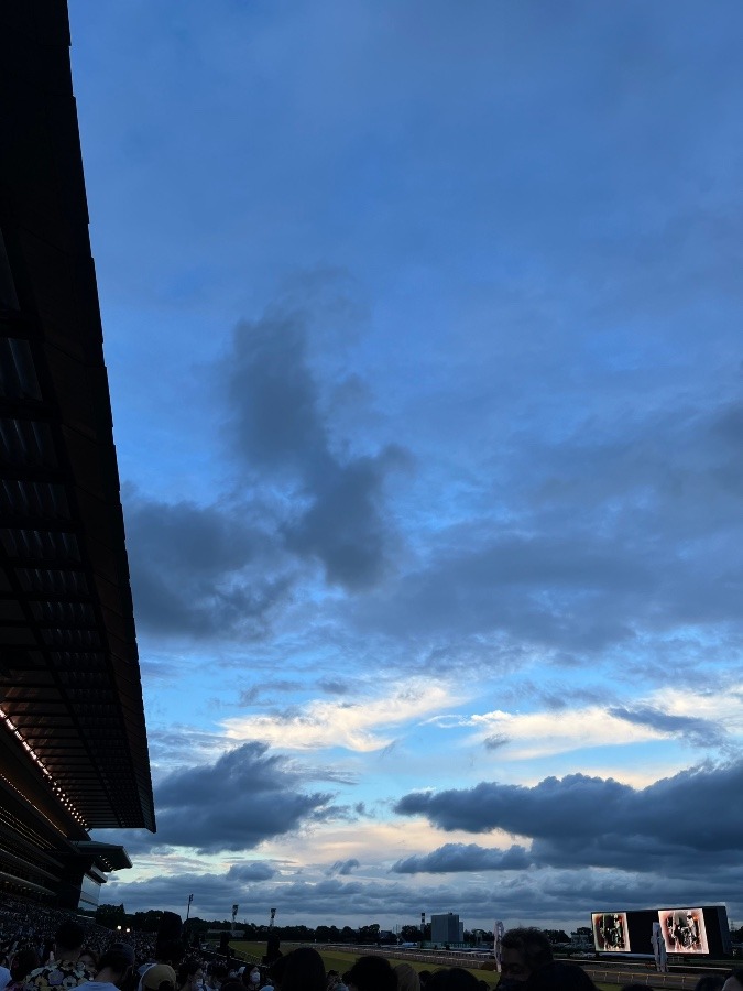 東京競馬場の空☆