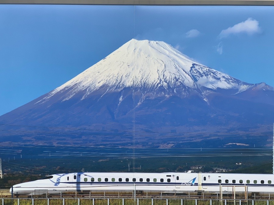 京都駅構内で❗️