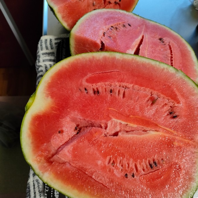 久しぶりのスイカ🍉