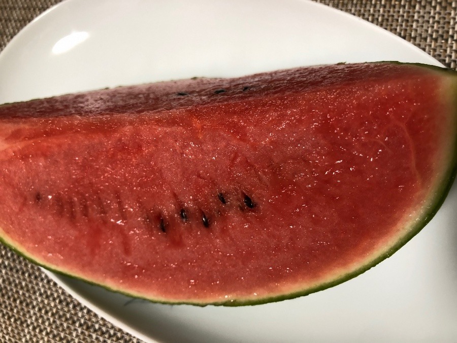 ピノ・ガール🍉食レポ