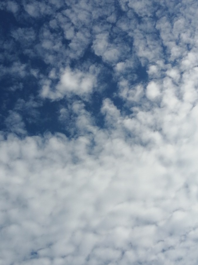 今日の空－7月8日