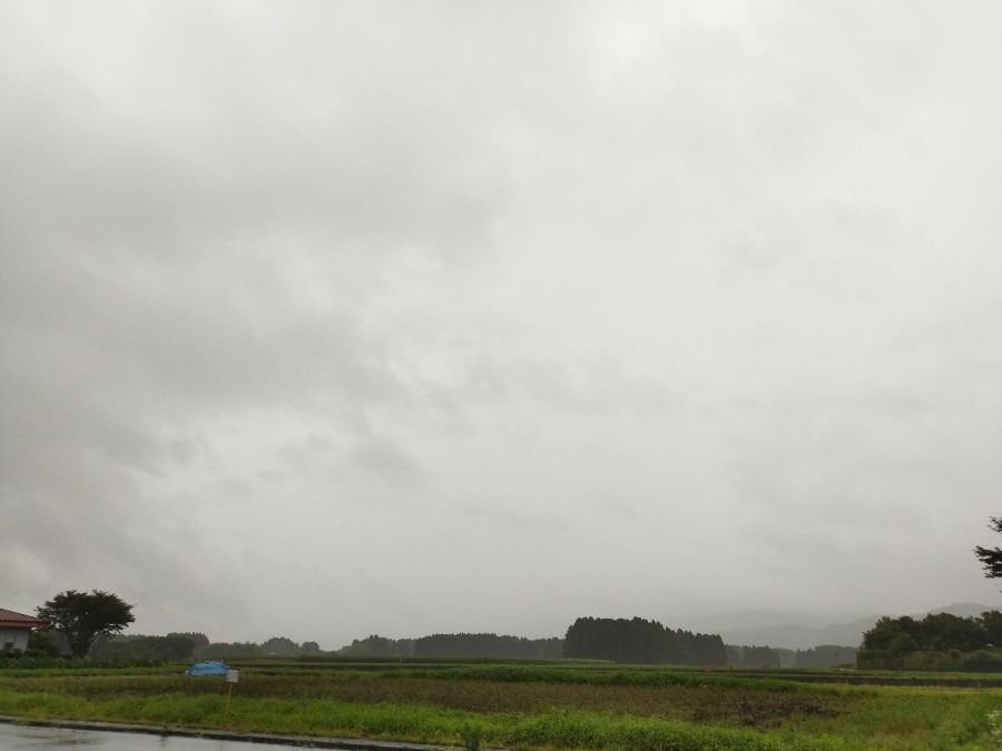 都城市（2022/7/4）今朝は雨😓❗