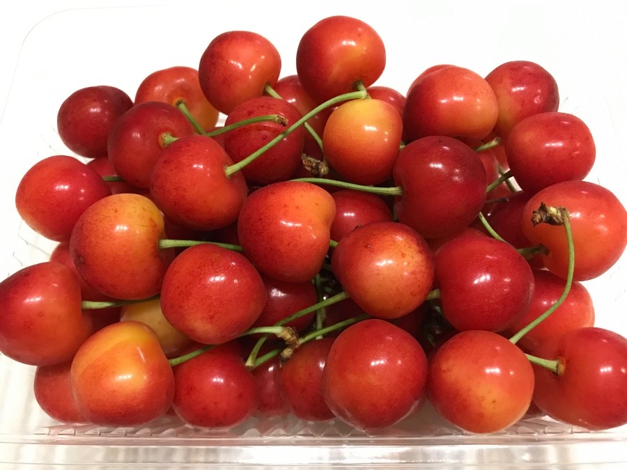 紅秀峰という名のさくらんぼ🍒