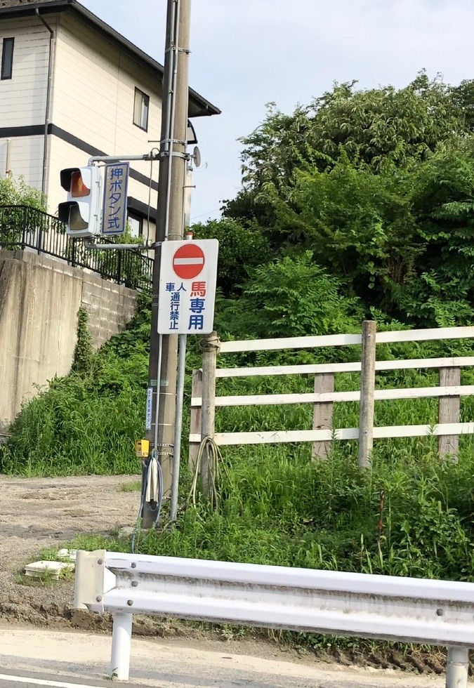 通行料金は人参何本❓🥕