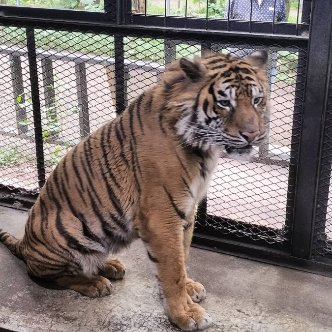 世界一危険な動物園♪