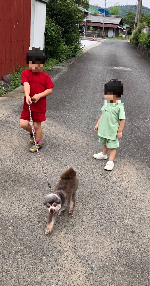 今日は僕がリードするヨッ🐾