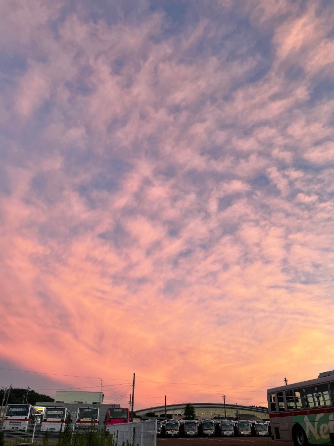 東の空の夕焼け