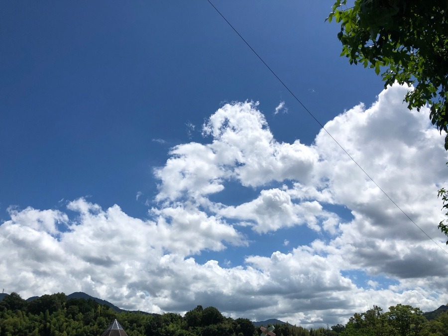 夏空ですね〜☁️