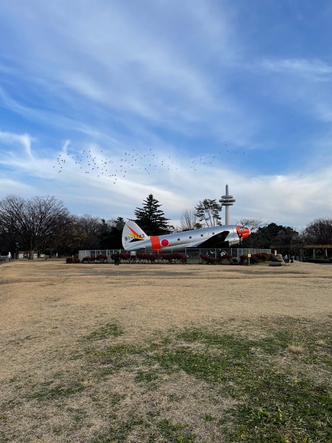 所沢航空記念公園