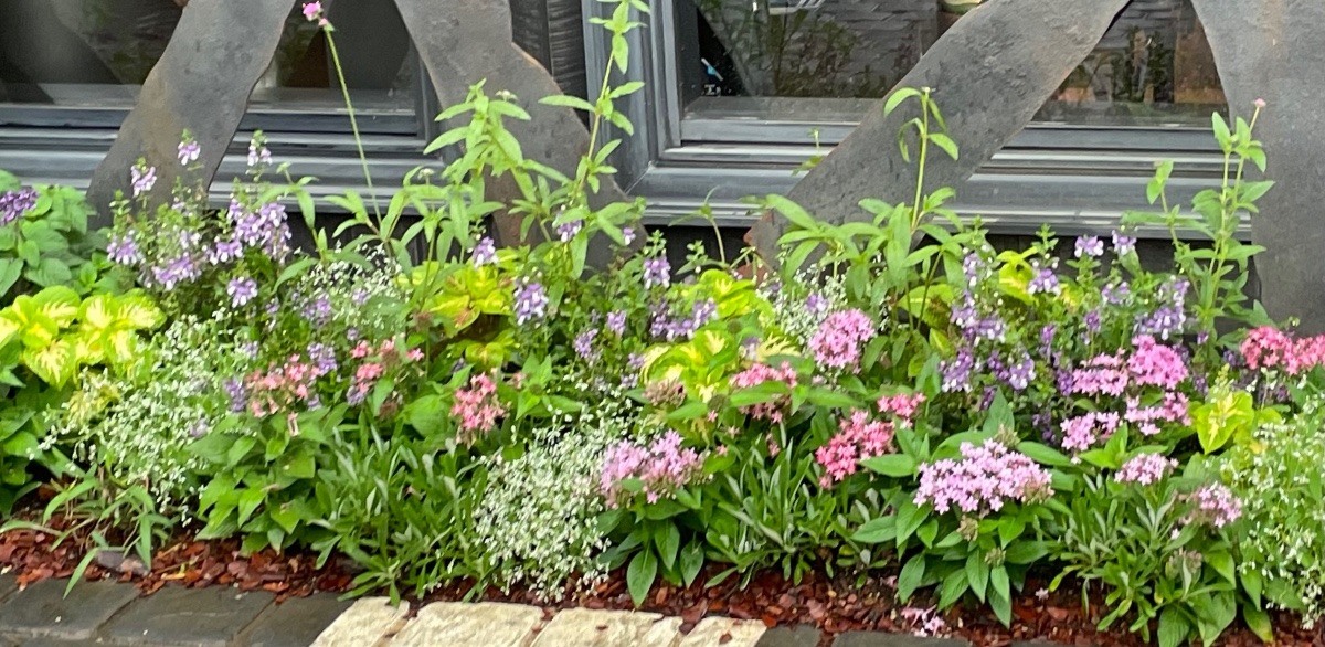 お店を一層彩る花たち🌸