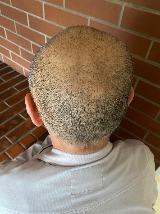 デビュー
