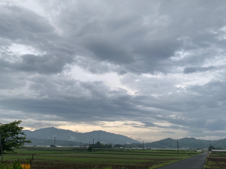 今朝の空