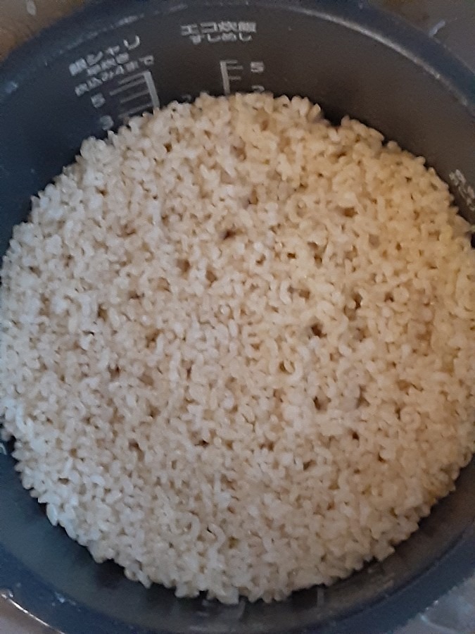 玄米ご飯(蟹の穴🦀)