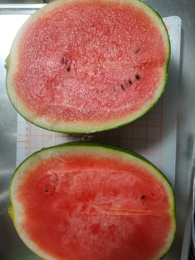 熟れてました🍉