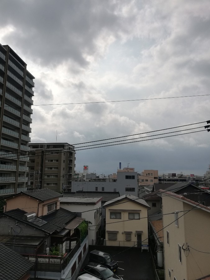 今日は曇り☁