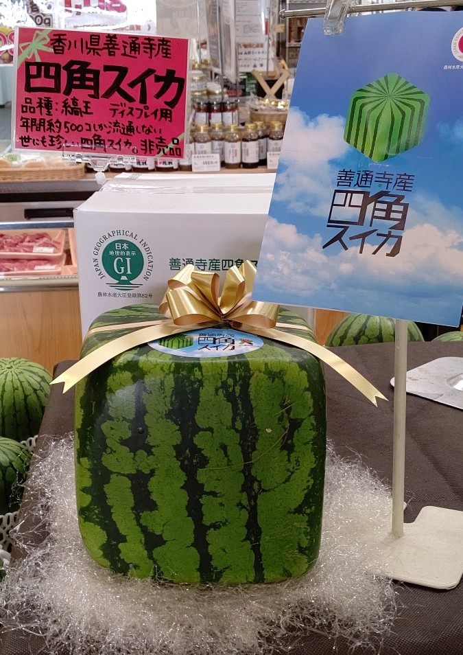 🍉が四角～‼️