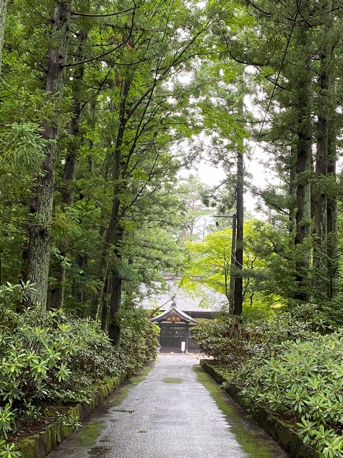 雨の中の神社⛩‼️