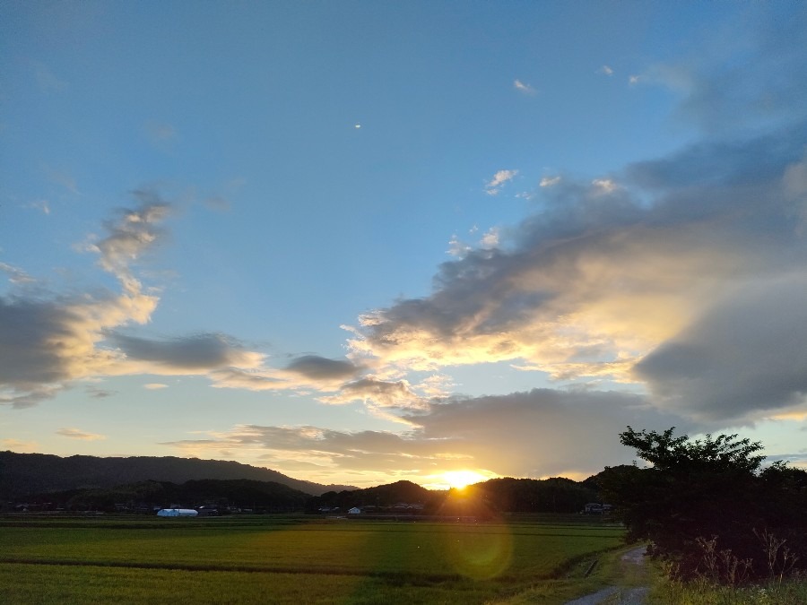 19時の空