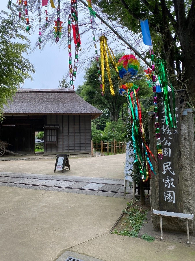 世田谷区立次大夫堀民家園❣️👘