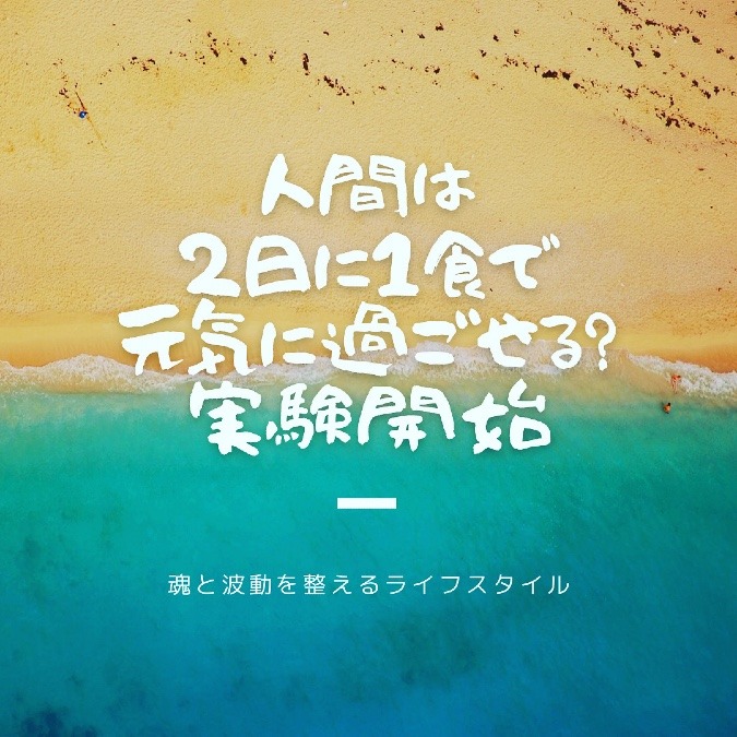 新たな実験開始✨平日2日に1回ご飯