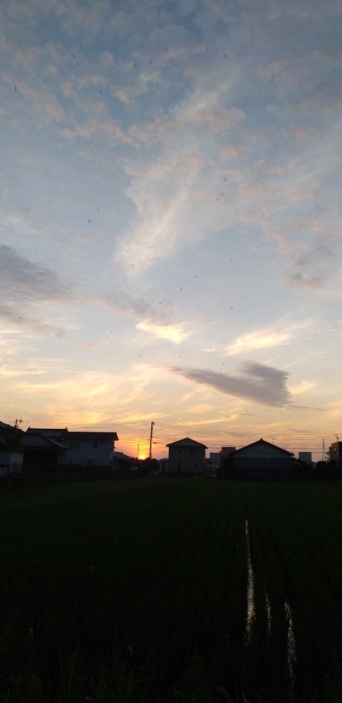 7/20　今朝の空