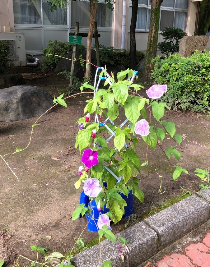 ザ夏休み☀️