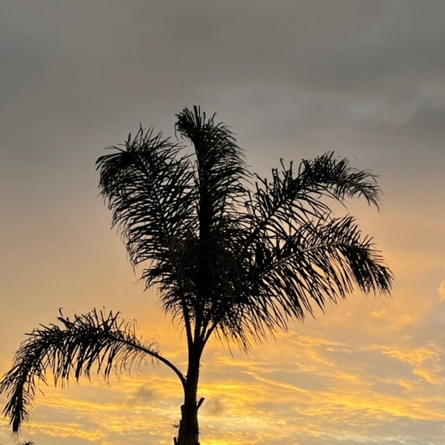 2022/07/19 夕方の空