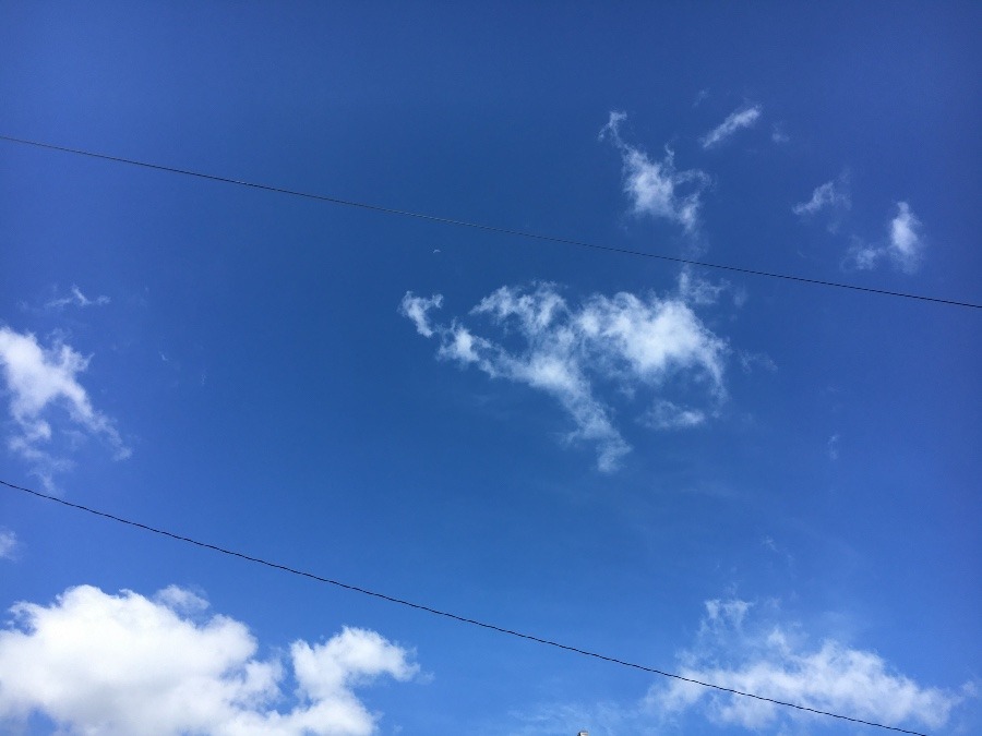 ⭕️空部→   いま空（≧∇≦）‼️92.