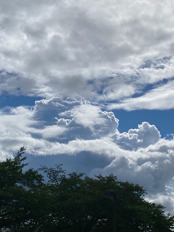 空と雲☁️🎶